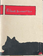 Load image into Gallery viewer, Shane de Leon | Starbage Can 005 zine