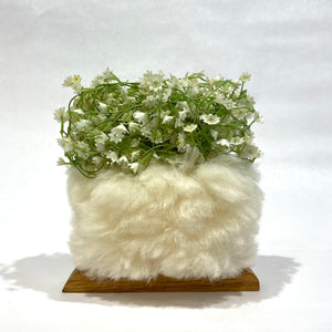 Maggy Rozycki Hiltner | Small Found Object Assemblages (Lammy Hedge)