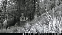Load image into Gallery viewer, Jim Baken | Dolittleism Large Prints
