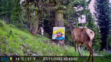 Load image into Gallery viewer, Jim Baken | Dolittleism Large Prints
