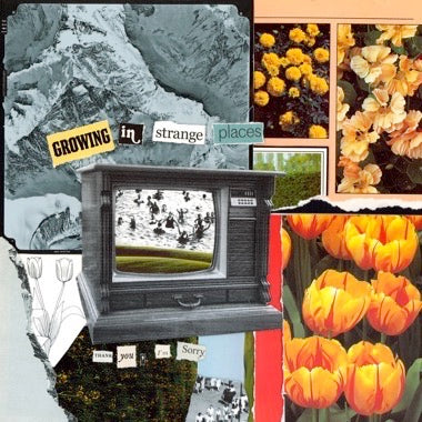 Thank You, I'm Sorry | Growing in Strange Places LP (orange crush vinyl)