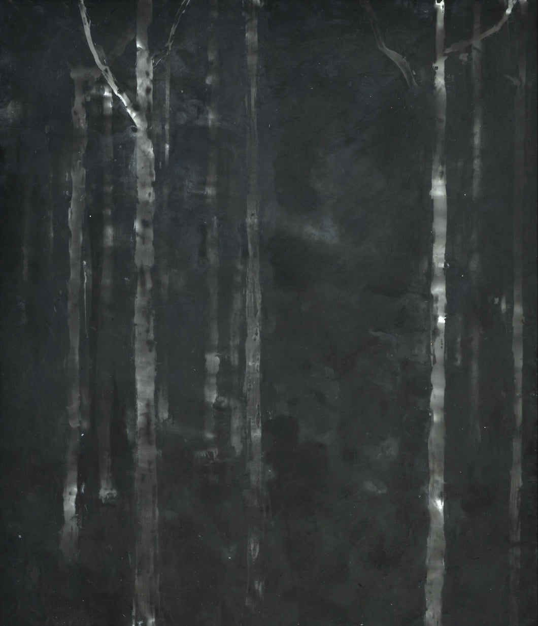 Candace Forrette | Night Forest #2