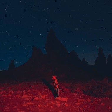 Phoebe Bridgers | Punisher LP