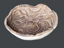 Load image into Gallery viewer, Ellen Ornitz | pf38cx5h25 (Brown pahoehoe lava platter, small)
