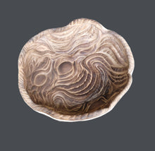 Load image into Gallery viewer, Ellen Ornitz | pf38cx5h25 (Brown pahoehoe lava platter, small)
