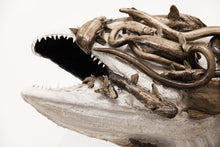 Load image into Gallery viewer, Manette Rene Bradford | Hydra 2

