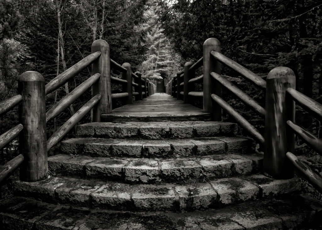 Larry Bean | Invitation to the Other Side