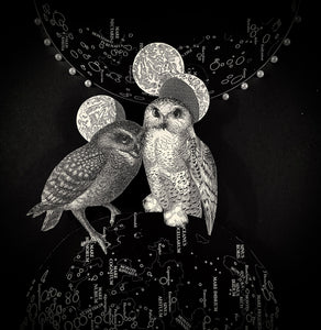 Kate Huston | Owls of Athena