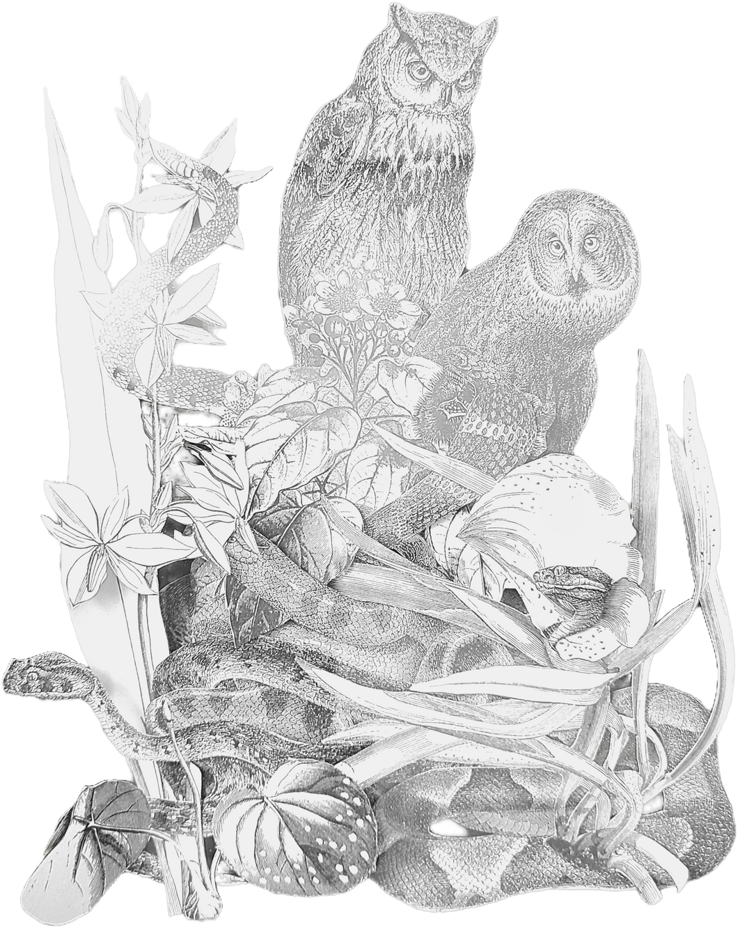 Kate Huston | Athena's Owls