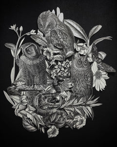 Kate Huston | Owls of Athens Poster 11x14