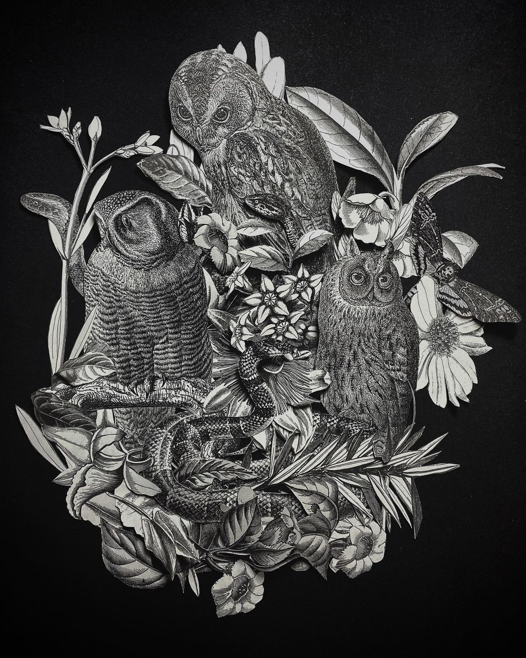 Kate Huston | Owls of Athens Poster 11x14