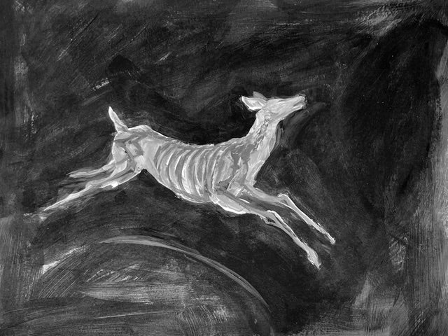 Kathryn Schmidt | Untitled (Flying Skeletal Deer)