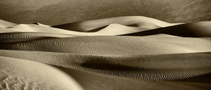 Larry Bean | Mesquite Sand Dunes Study 1