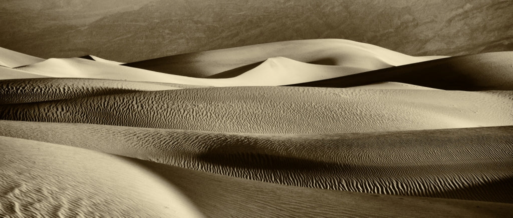 Larry Bean | Mesquite Sand Dunes Study 1