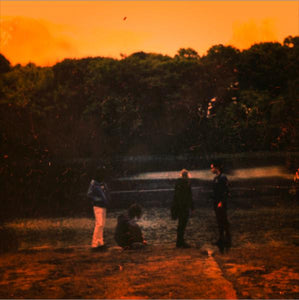 Far-Out Fangtooth ‎– Pure & Disinterested LP (used vinyl)