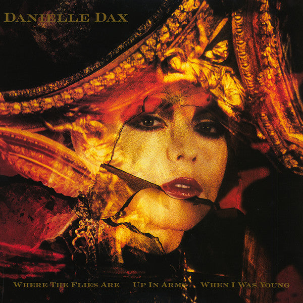 Danielle Dax - Where The Flies Are (12