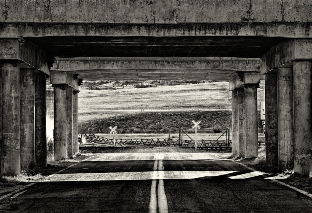 Larry Bean | Ranch Exit