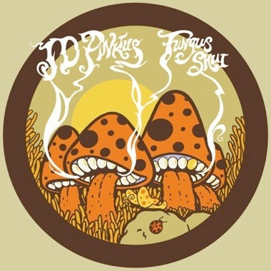 JD Pinkus | Fungus Shui LP (orange sunshine vinyl)