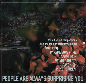 Various Artists | People Are Always Surprising You CD