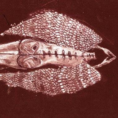 Cerberus Shoal | Homb (Anniversary Edition) LP