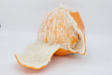 Load image into Gallery viewer, Taya Falcon | Citrus Rot
