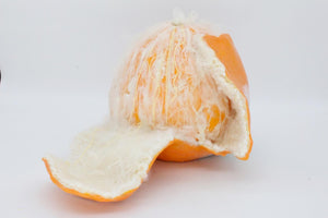 Taya Falcon | Citrus Rot