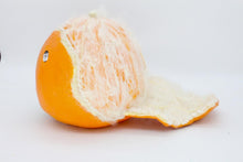 Load image into Gallery viewer, Taya Falcon | Citrus Rot
