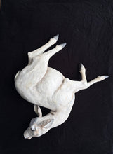 Load image into Gallery viewer, Taya Falcon | Nurturer
