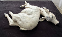 Load image into Gallery viewer, Taya Falcon | Nurturer
