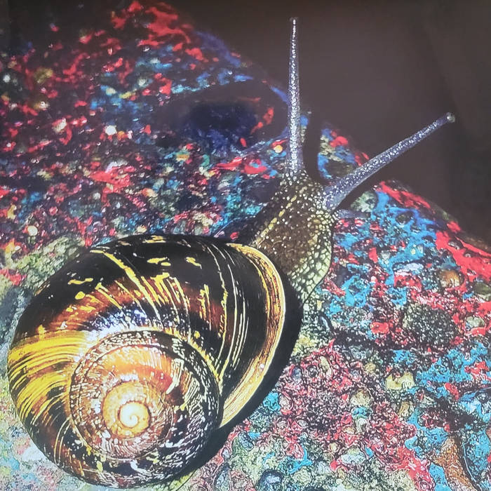 RLLRBLL / Gilliam LP