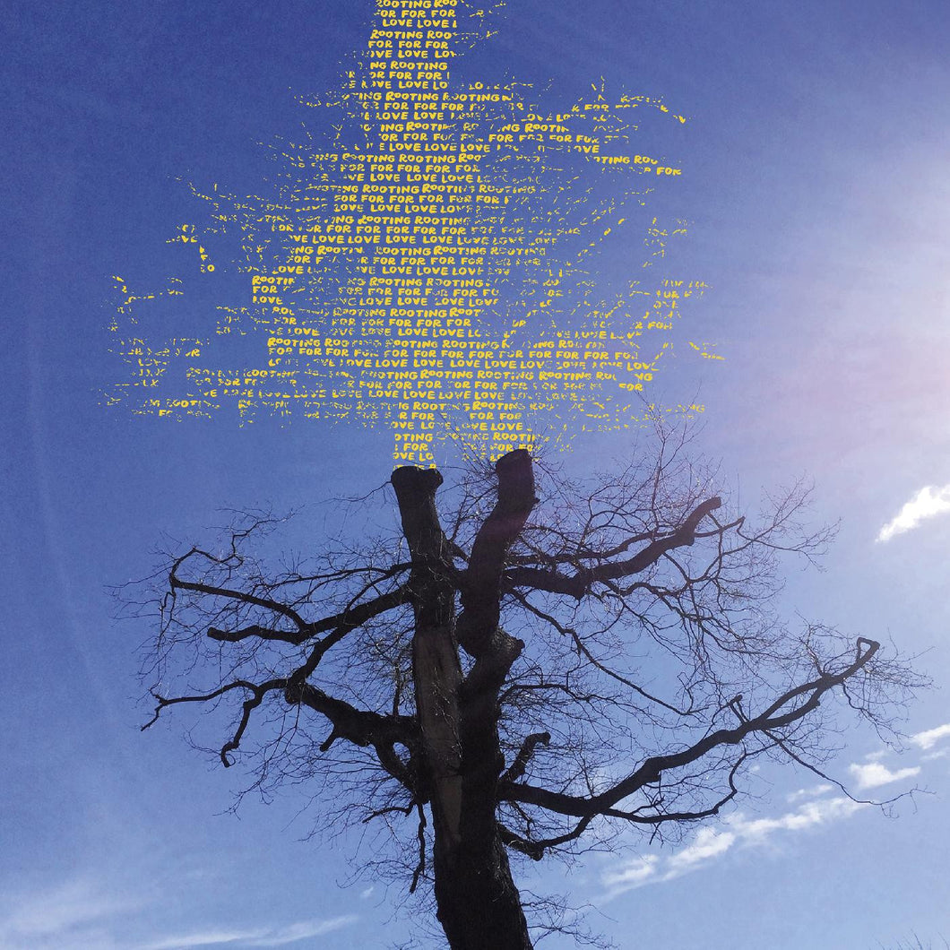 Sadier, Laetitia / Rooting For Love LP