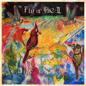 Jaimie Branch ‎– Fly Or Die II: Bird Dogs Of Paradise LP (used vinyl)