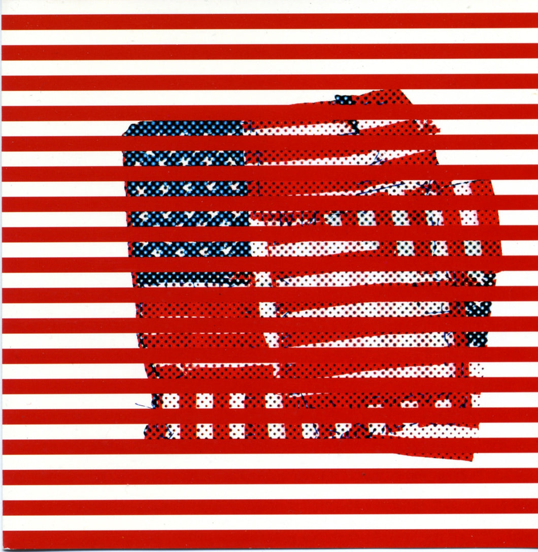 Tortoise | Standards LP