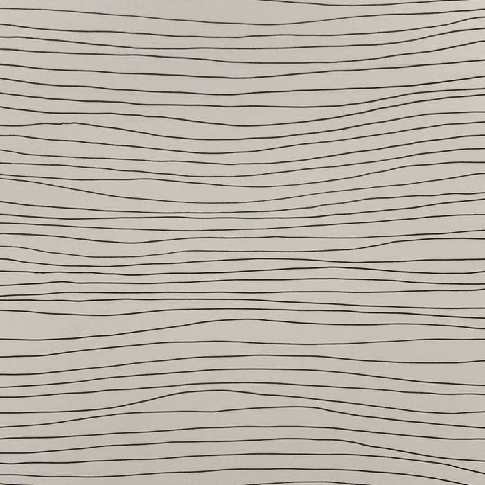 Aaron Michael Butler | Lucier | Still and Moving Lines of Silence in Families of Hyperbolas (part II, numbers 5-8) Cassette
