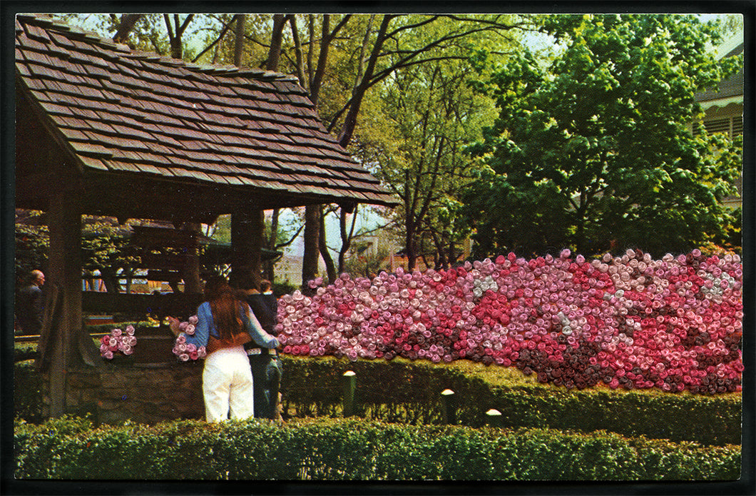 Jane Waggoner Deschner | from the pcard series (another Azalea Garden)