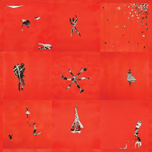 Animal Collective | Hollinndagain LP