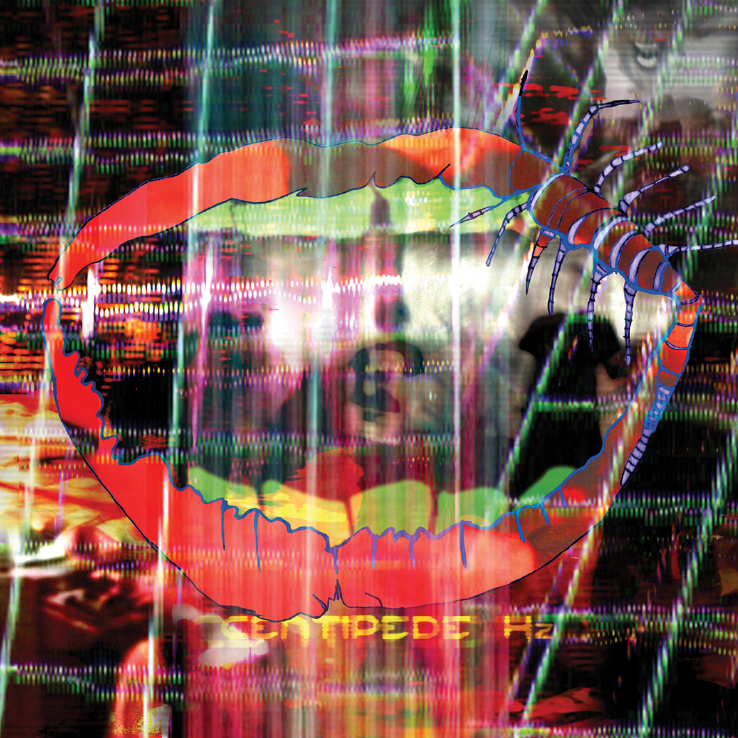Animal Collective | Centipede HZ 2xLP (MP3 Download Included)
