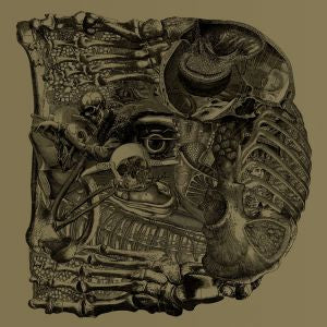 Boris | Dear 2xLP