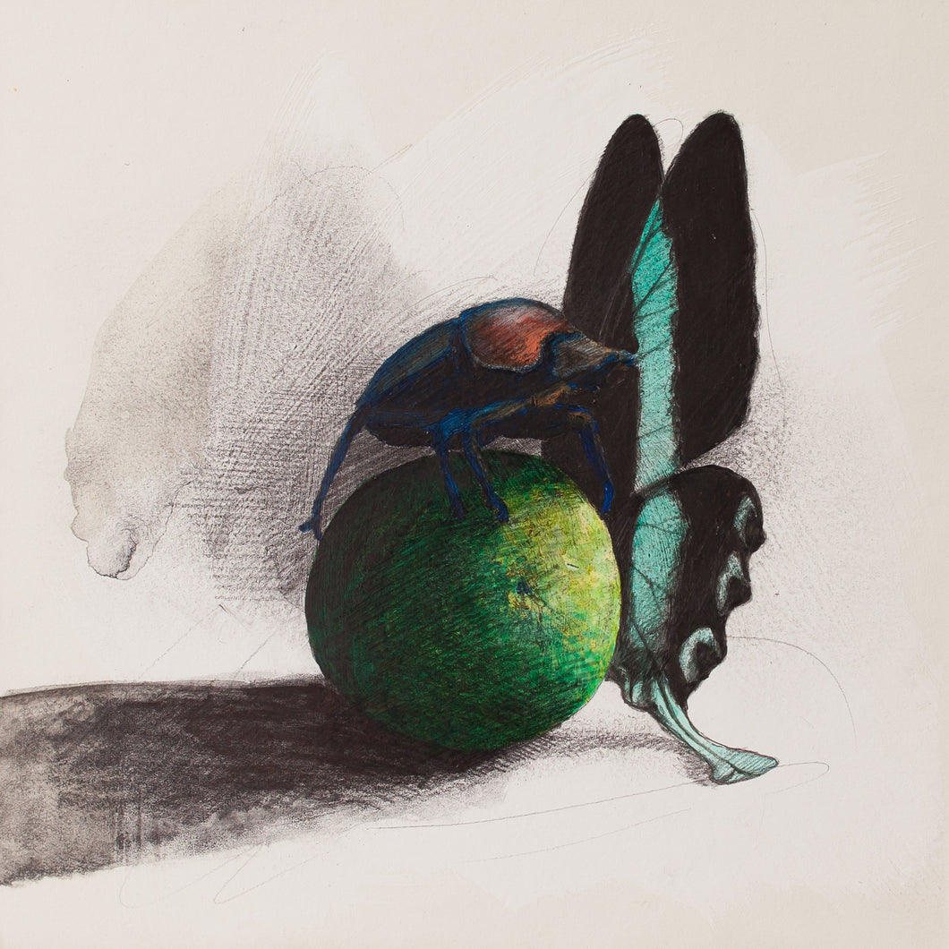 Louis Habeck | Scarab Beetle on Lime with Butterfly
