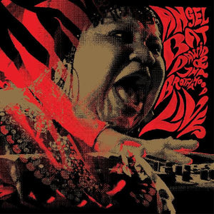 Angel Bat Dawid & Tha Brothahood | LIVE 2xLP