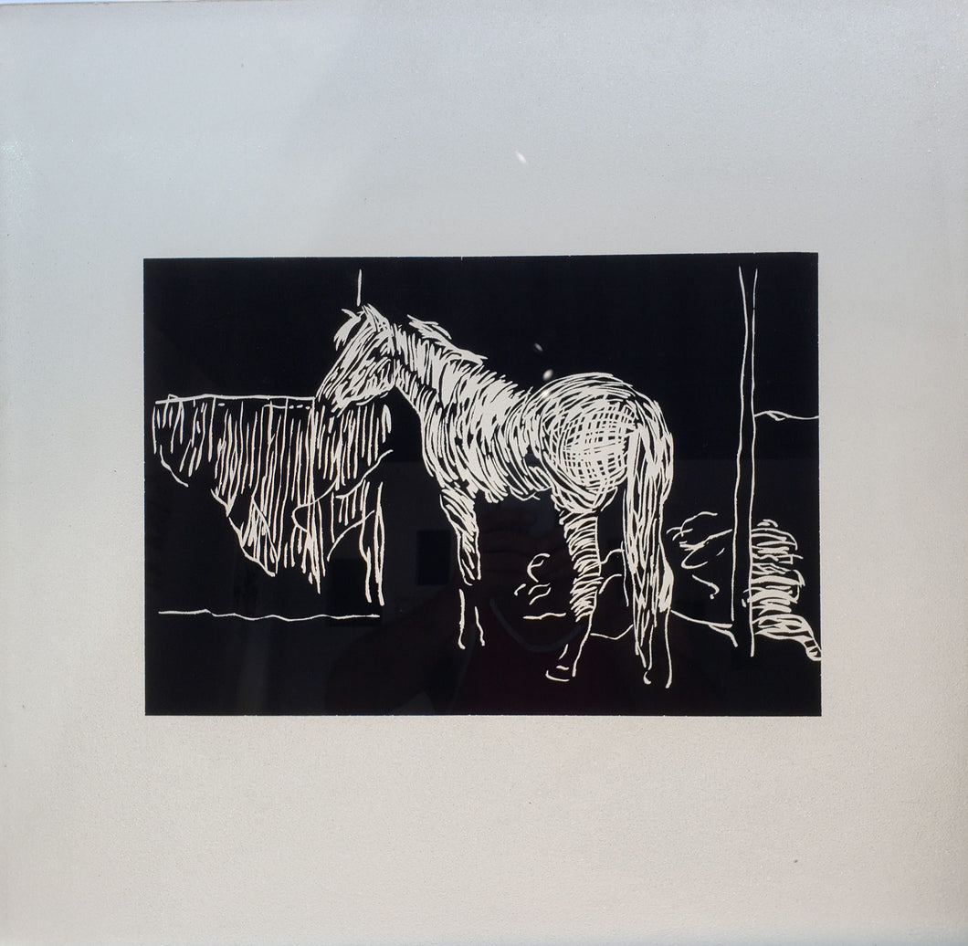 Terry Karson Artwork | Untitled (Horse)(heat strengthened sand blasted spandrel glass framed 26
