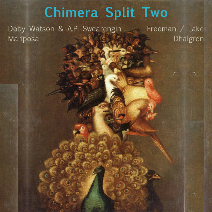 The Binary Marketing Show/ Casey Chisholm/ Lindsay Schief/ Black Kite | Chimera Split Two (cassette)