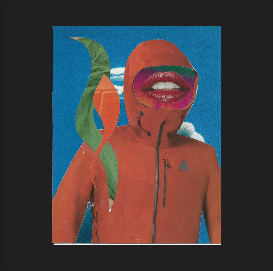 Luer | Constant Cassette