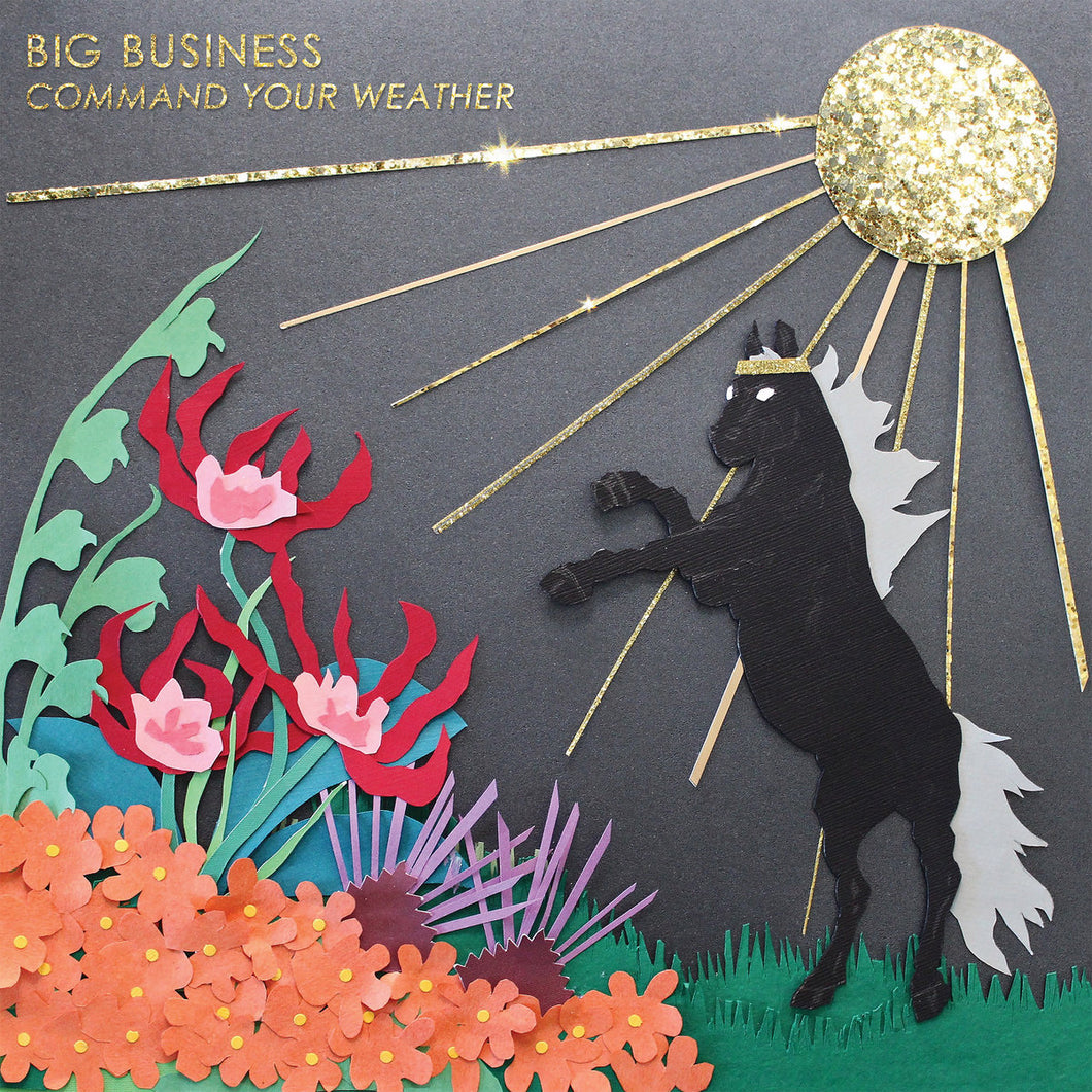 Big Business | Command Your Weather LP