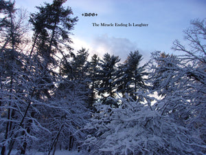 +DOG+  / The Miracle Ending is Laughter LP