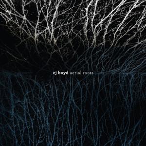 CJ Boyd | Aerial Roots LP
