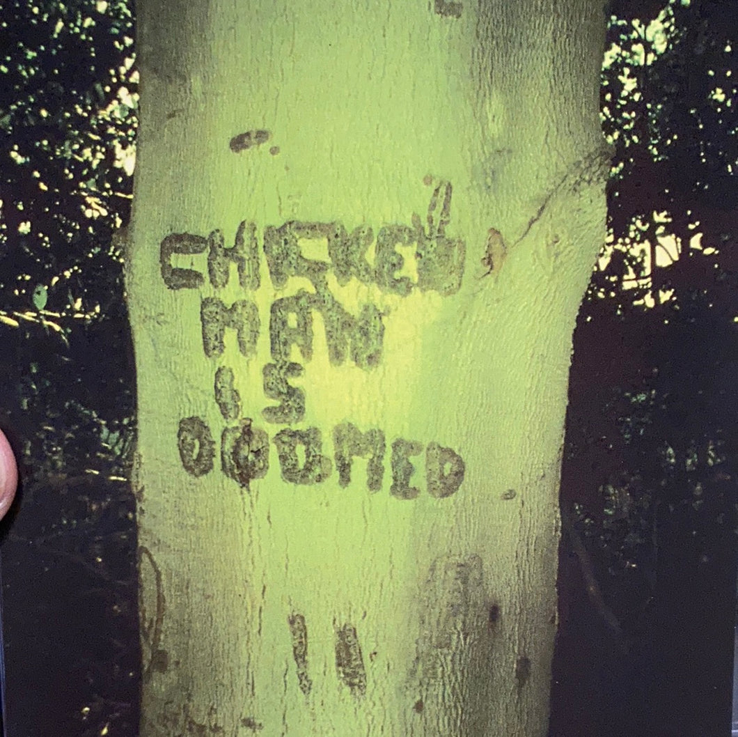 Danny Bee | Chicken Man is Doomed (CD)